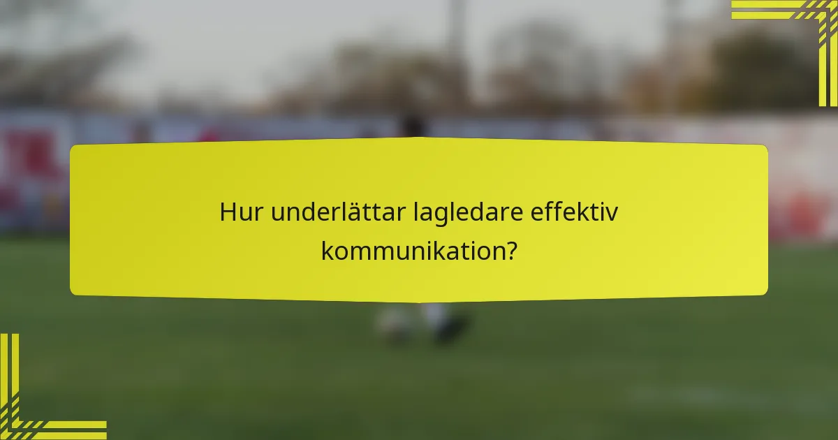 Hur underlättar lagledare effektiv kommunikation?